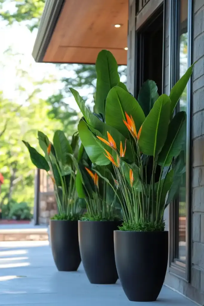 3. Artificial Bird of Paradise Display