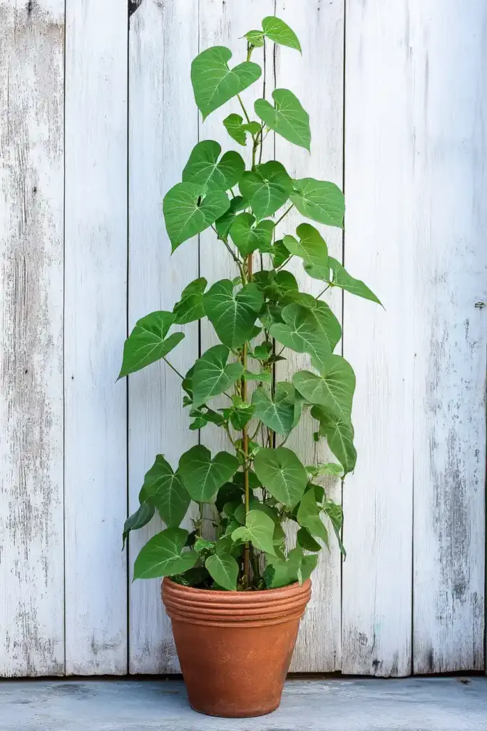 10. Vertical Garden Trellis