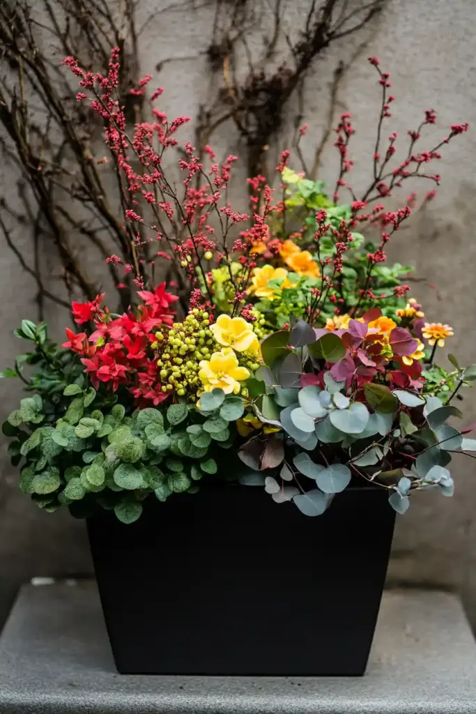 16. Creeping Jenny