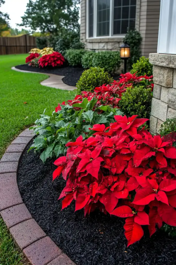 Urban Canvas: Creative Planting in Small Spaces