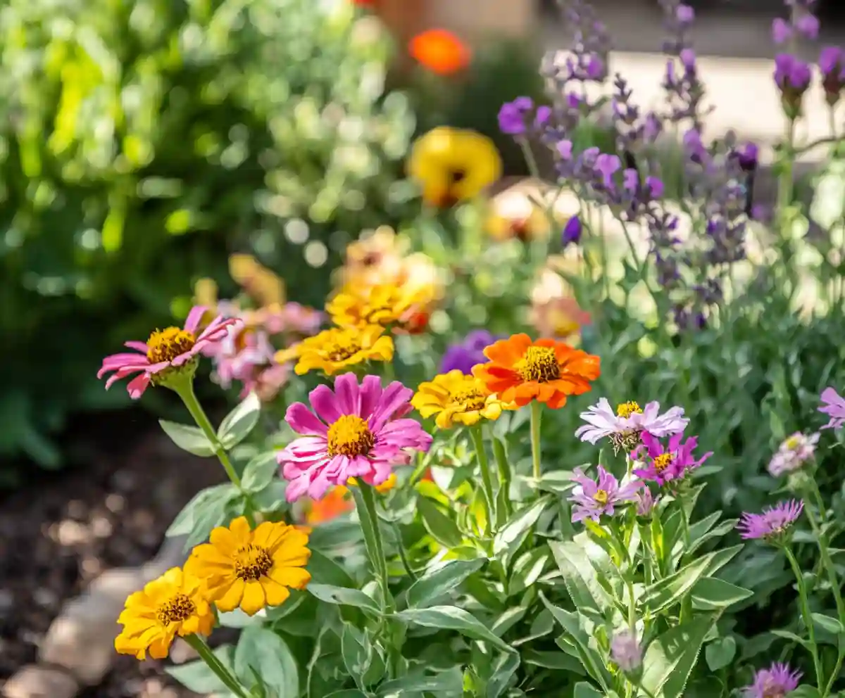 31 Beautiful Drought-Tolerant Plants That Thrive in Dry Gardens