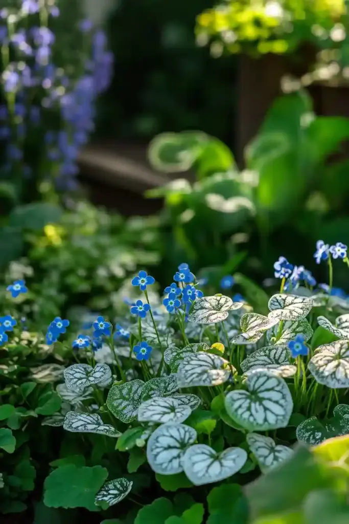 💙 11. Brunnera: Heart-Shaped Leaves and Forget-Me-Not Blooms