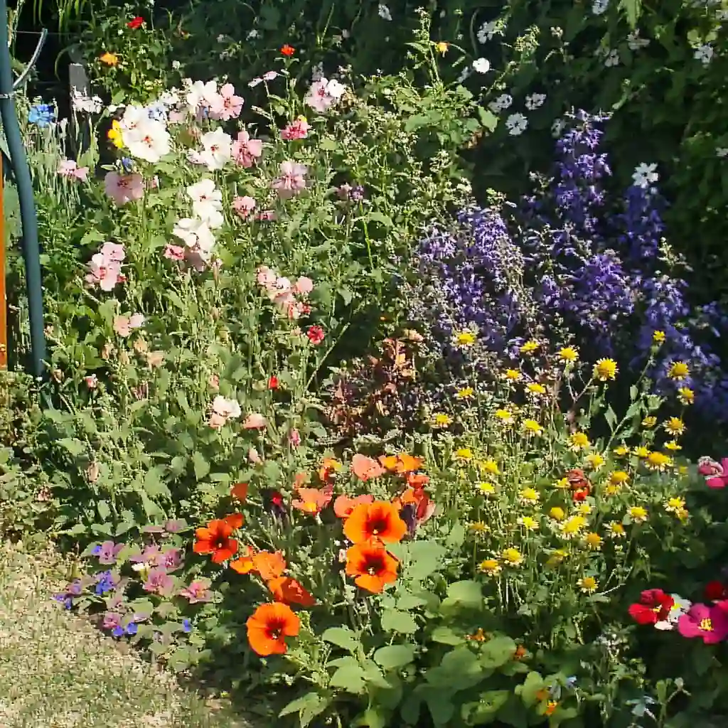 A Beginner’s Guide to Wildflower Gardens: 9 Essential Tips for Natural Beauty