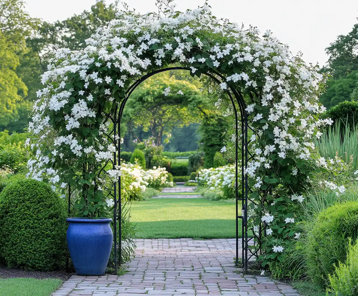 Rose Garden Ideas