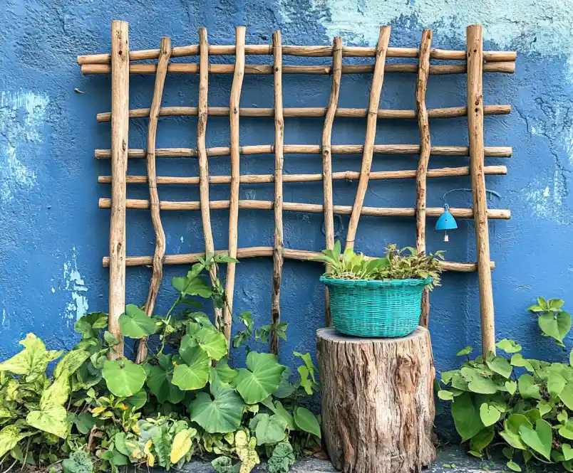 Cucumber Trellis Ideas