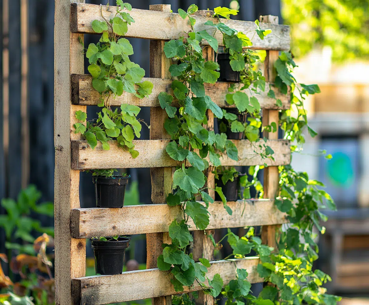 10 Innovative DIY Garden Trellis Ideas