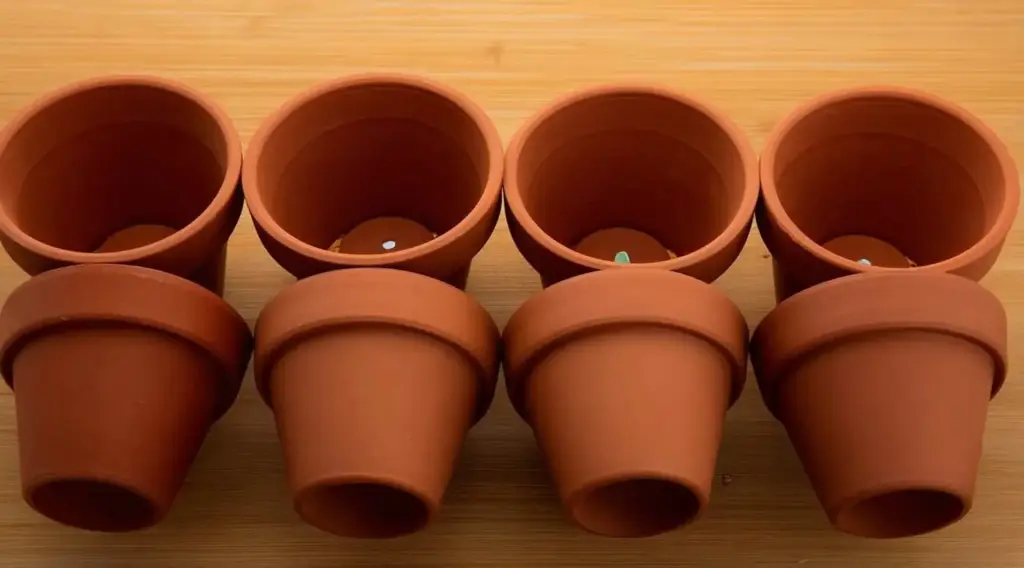 1. Choose Small, Decorative, Well-Draining Pots