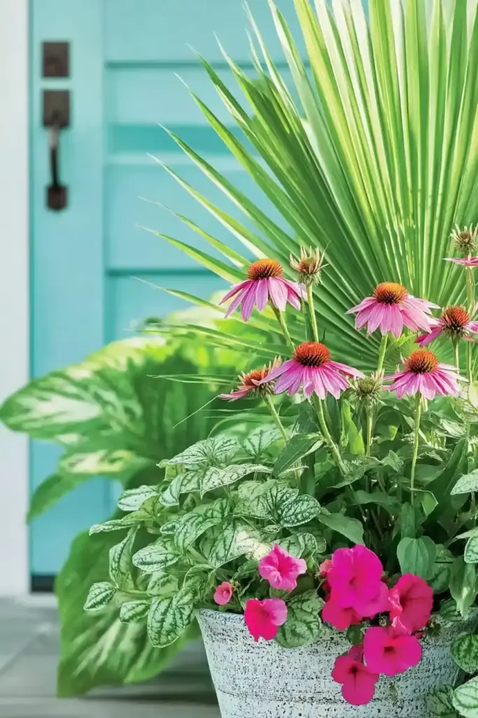 Coneflowers