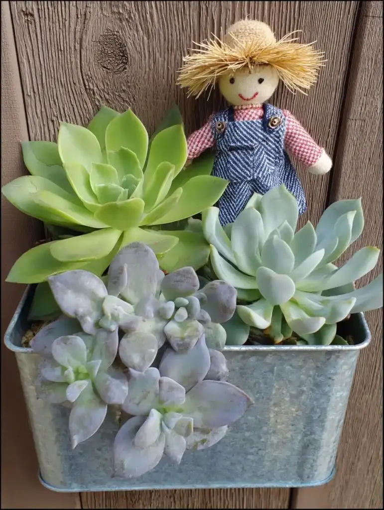 3. Chicken Feeder Scarecrow Planter