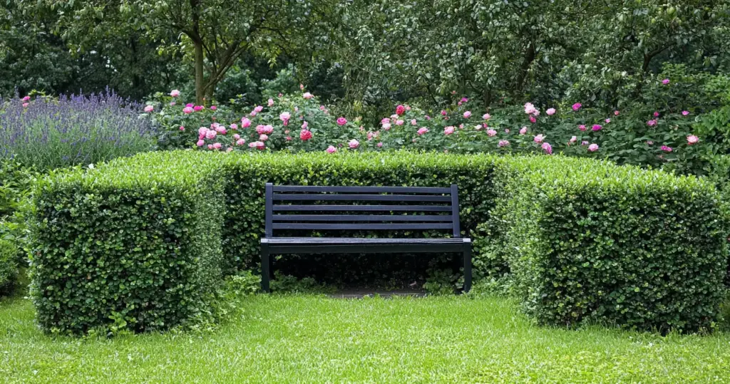 Upgrade Your Lawn With Lush Green Grass