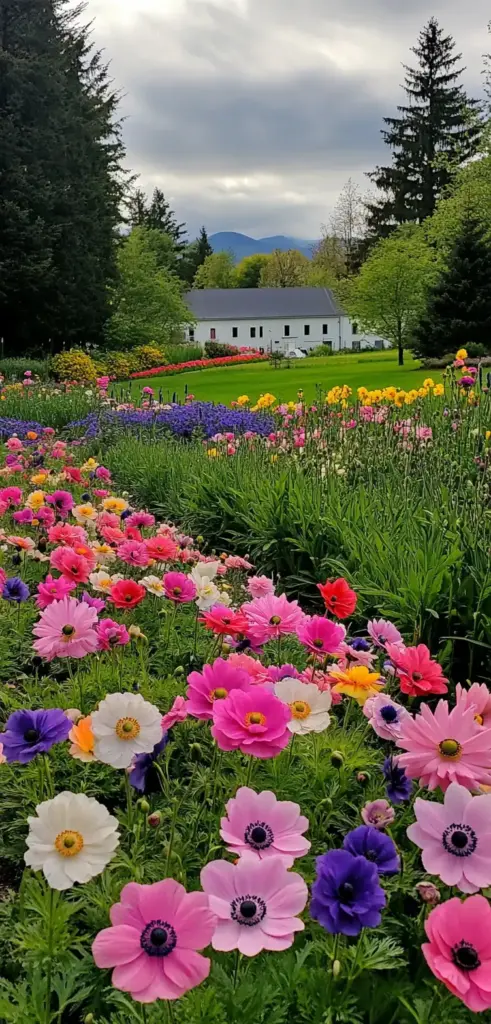 9. Color Wheel Coordination Flower Bed