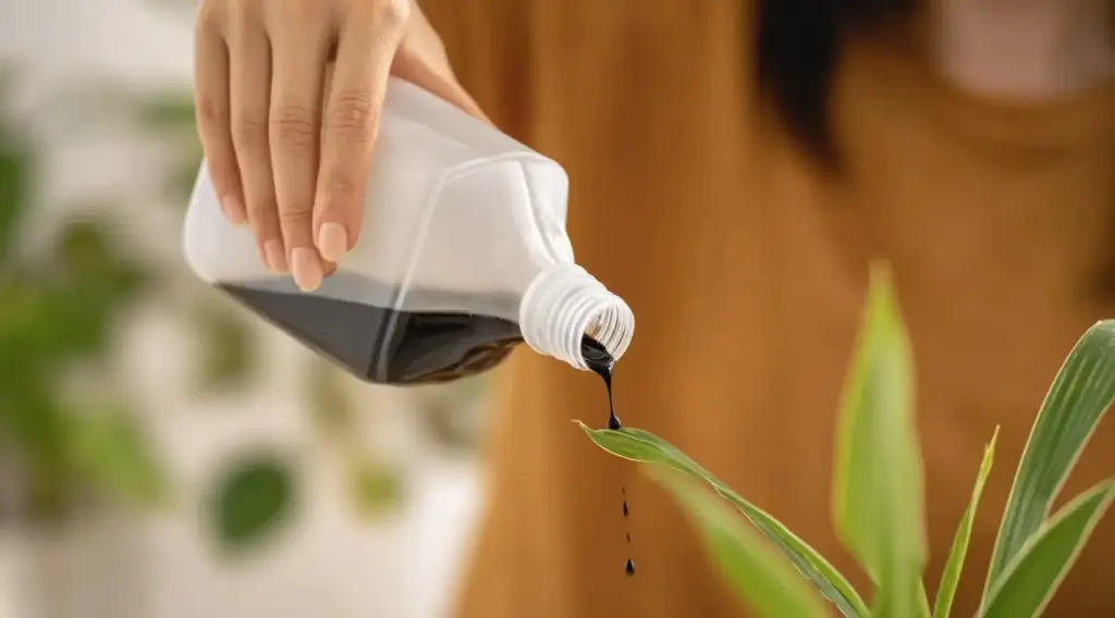 Fertilize Lightly but Consistently