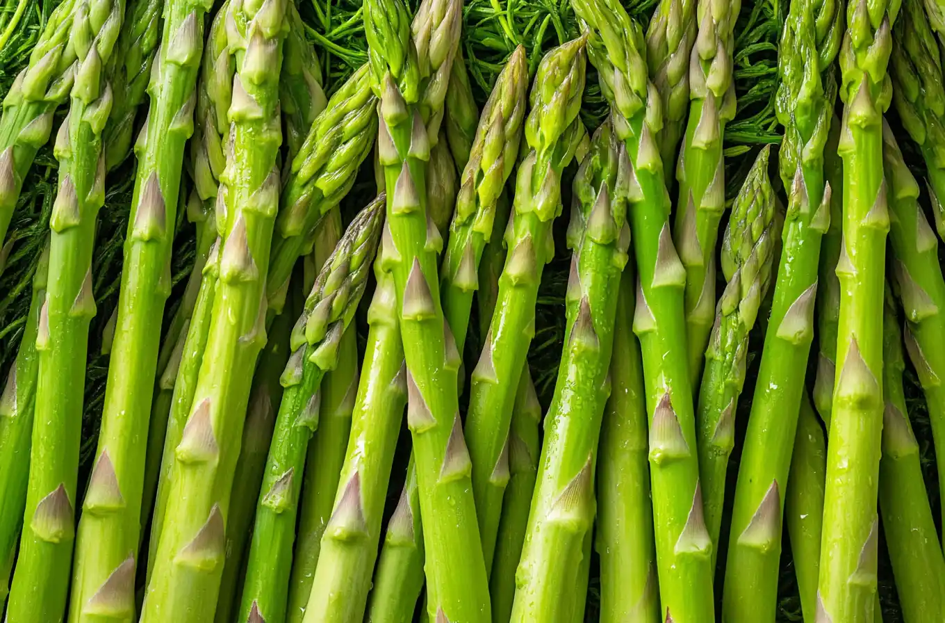 perennial vegetables