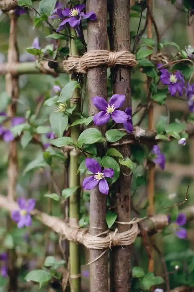 Rustic Branch Trellis