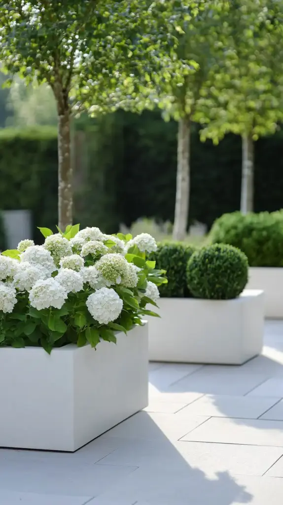 Modern Minimalist Hydrangea Design