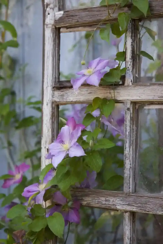 Recycled Window Frame Trellis