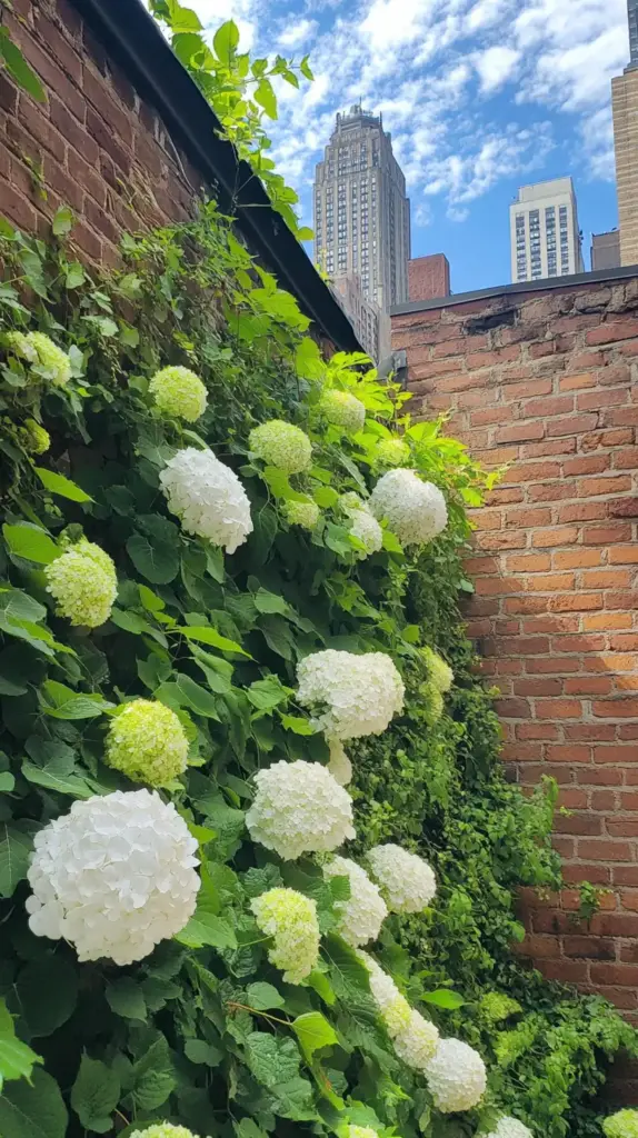 Vertical Hydrangea Wall Magic