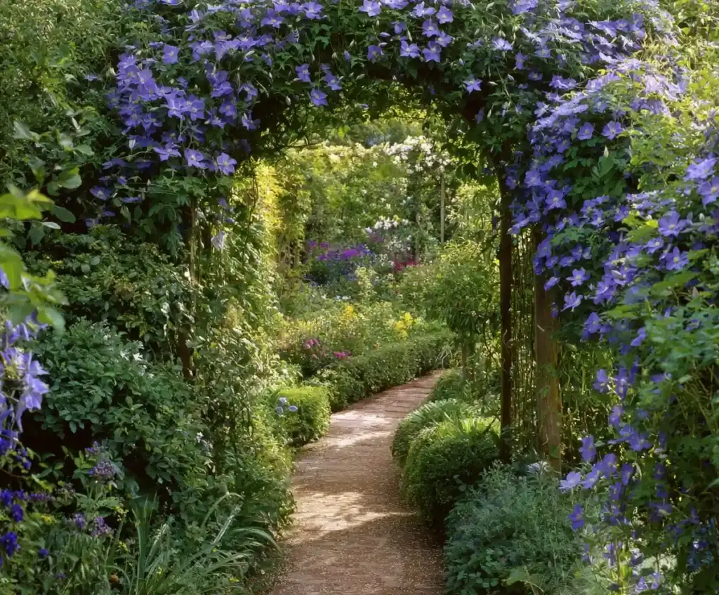 Blue Flowers Garden Ideas