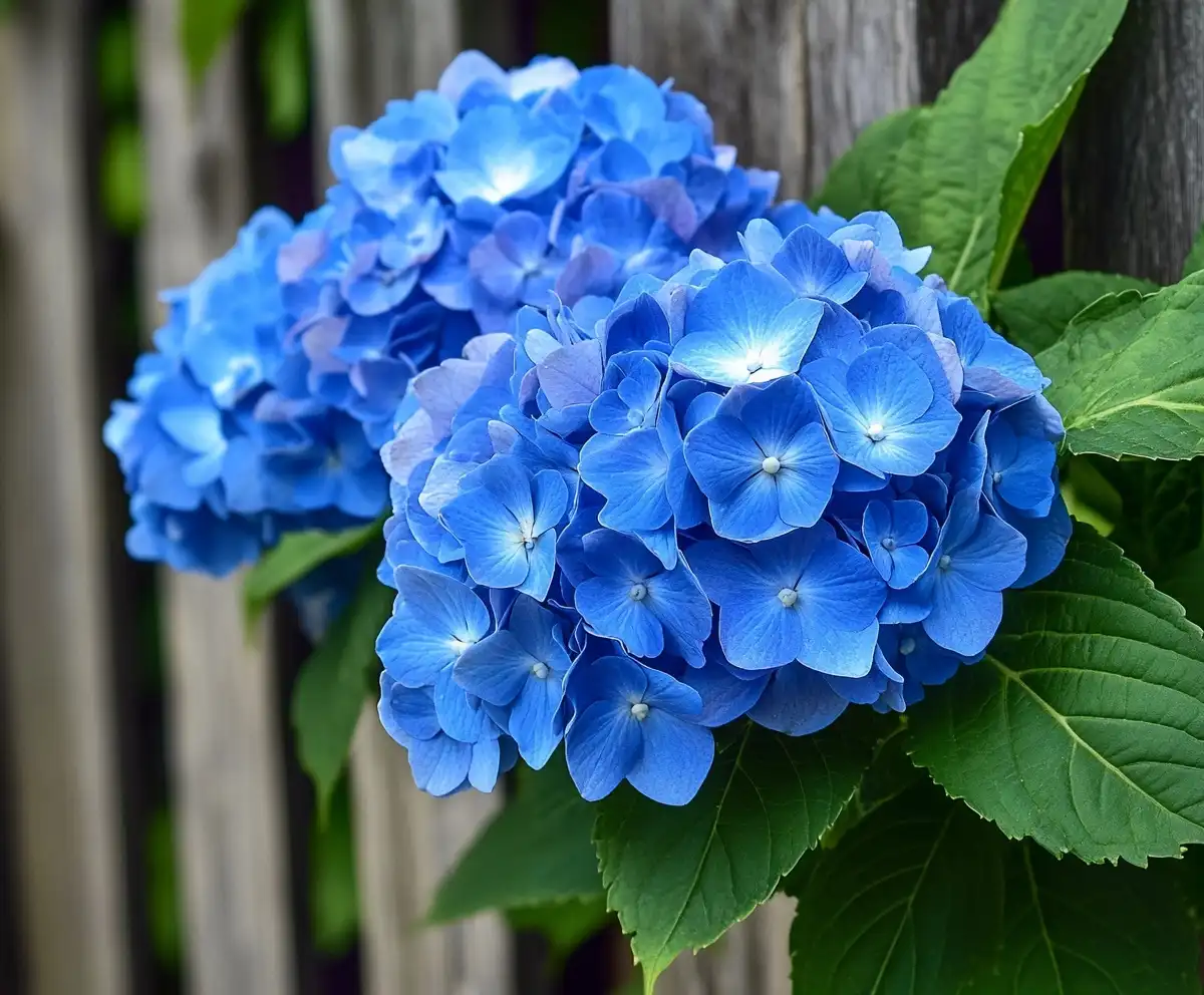 15 Stunning Blue Flowers to Brighten Your Garden