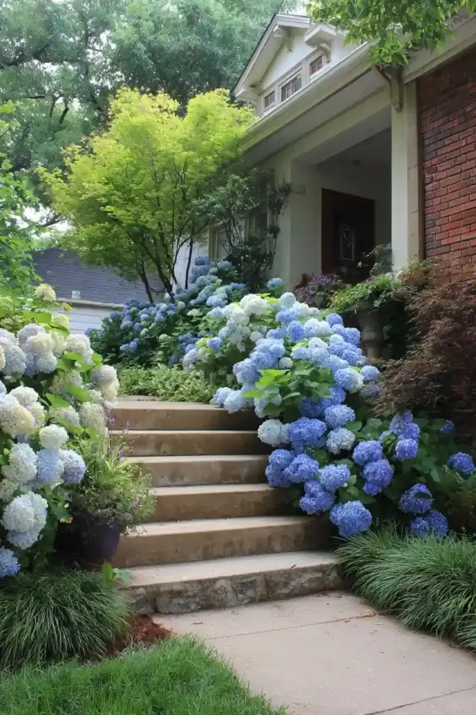 Tiered Hydrangea Flower Bed