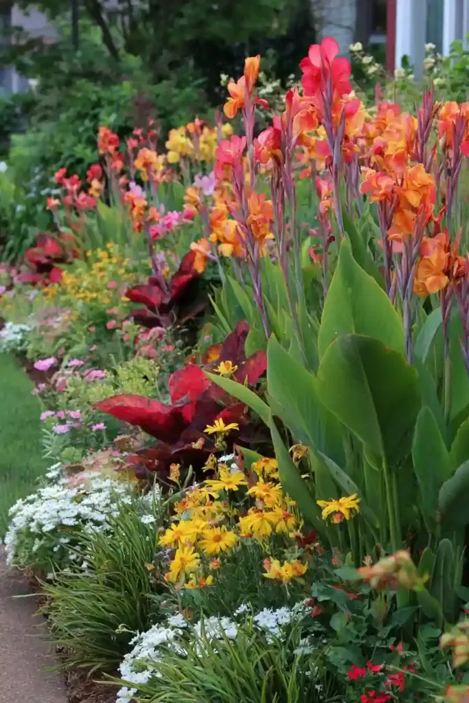 Mixed Flower Beds