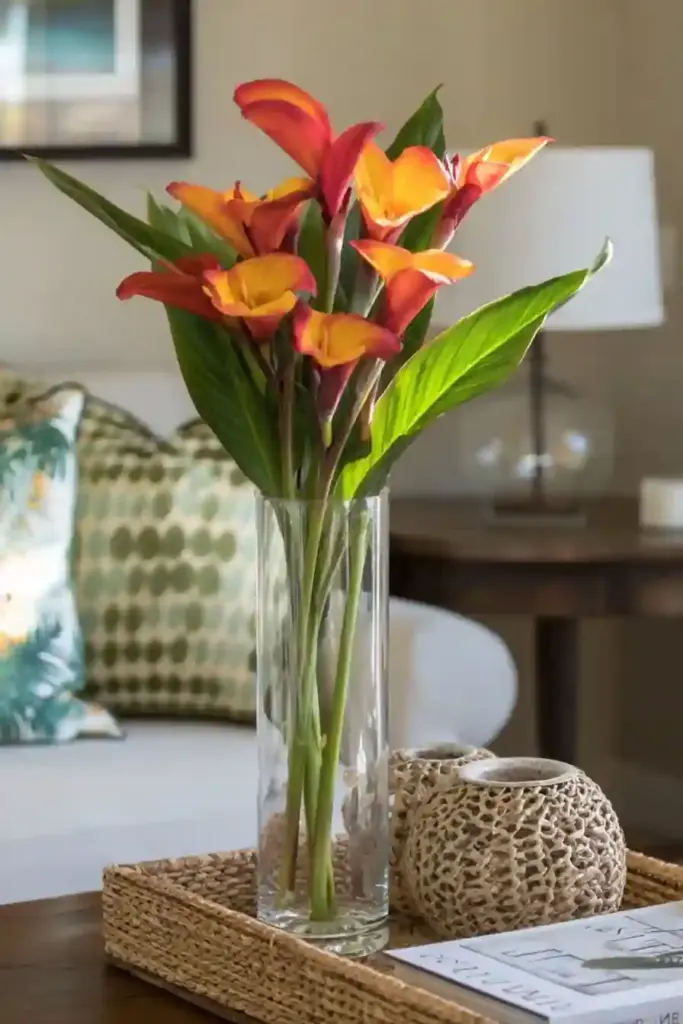 Indoor Display