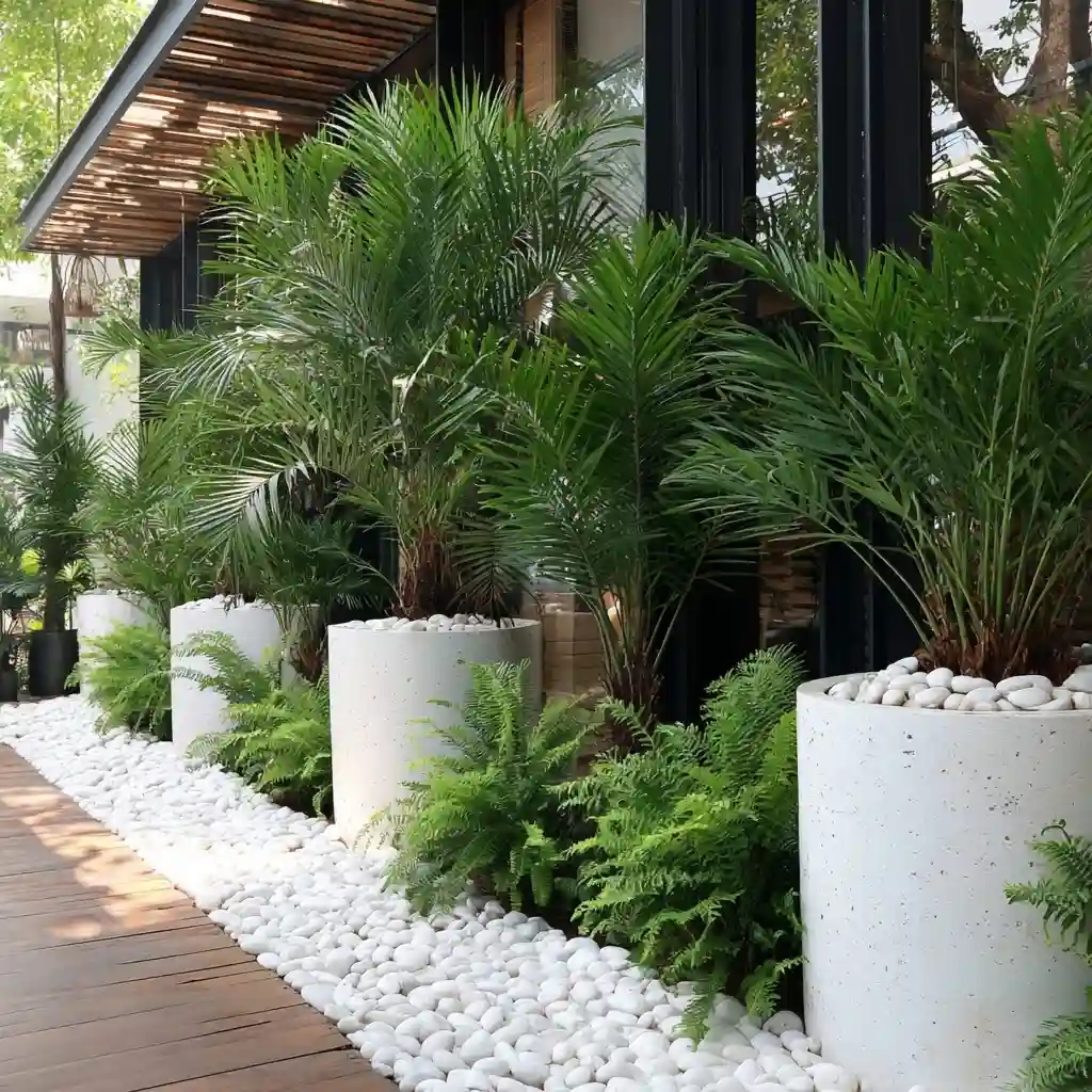 Tropical Planters with White Stones