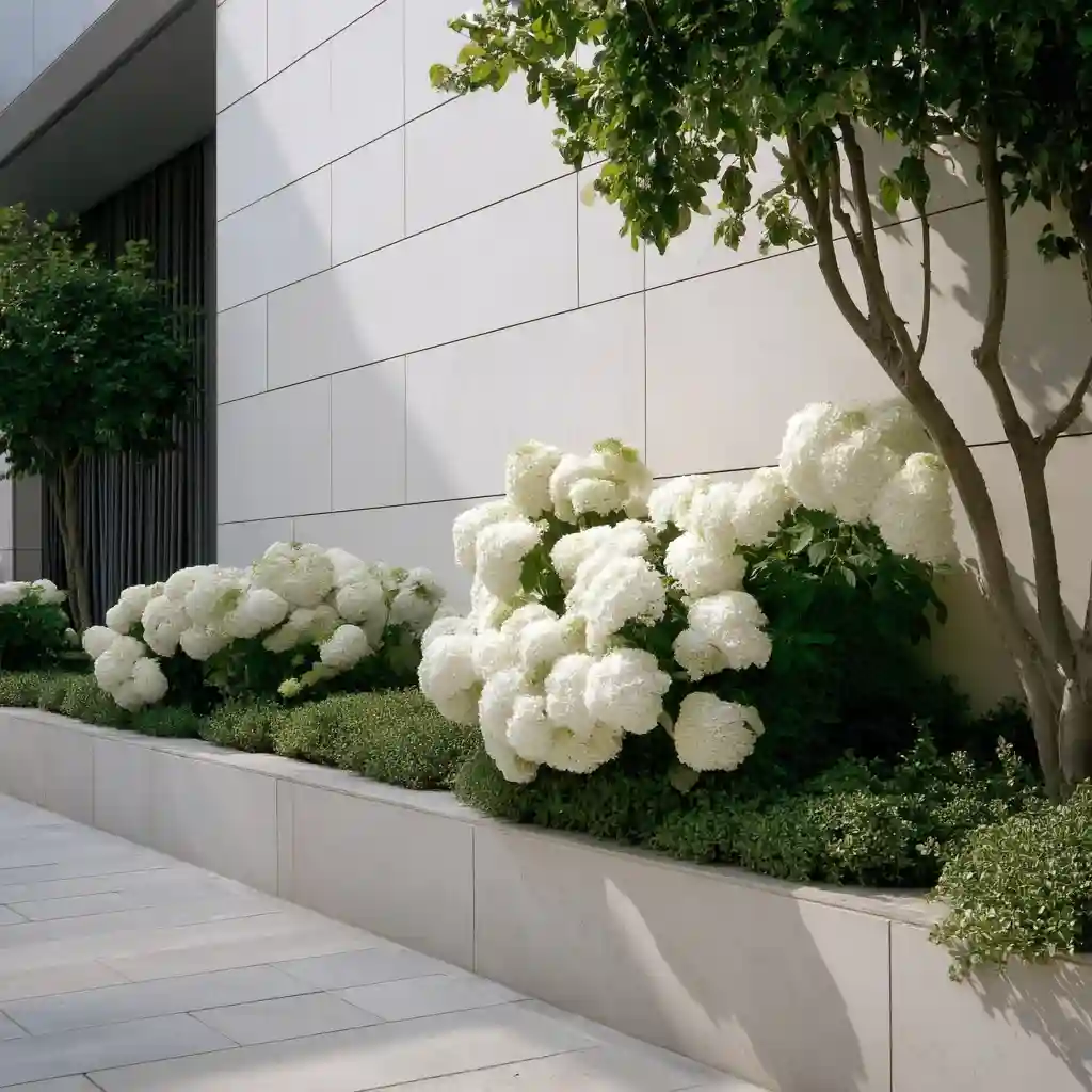 Serene White Hydrangea Garden Design