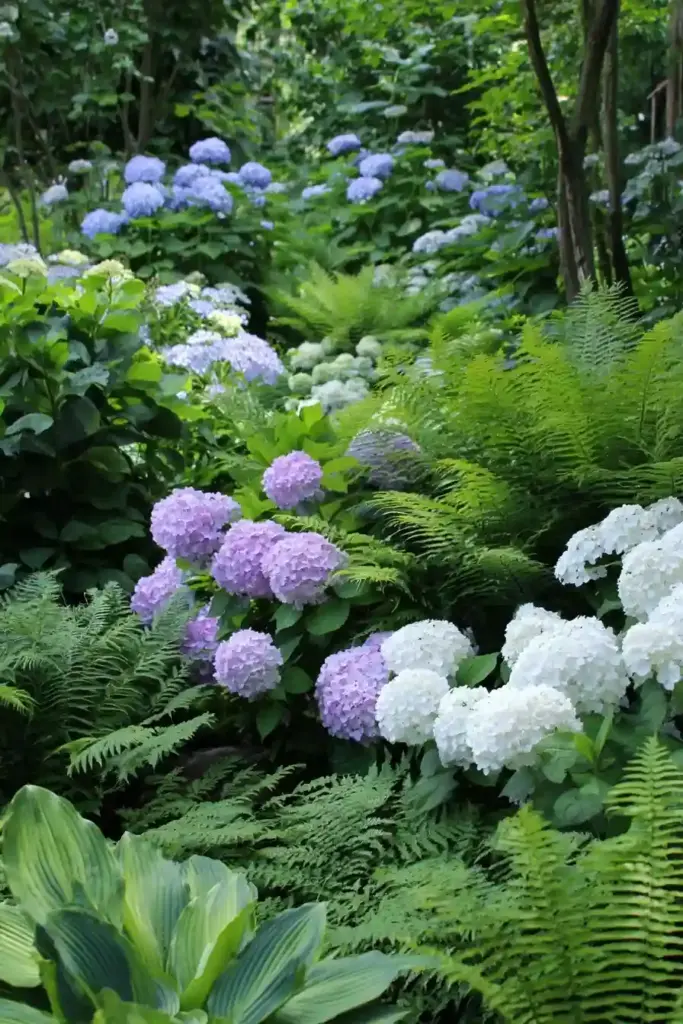 Hydrangeas Paired with Perennials like Hostas and Ferns