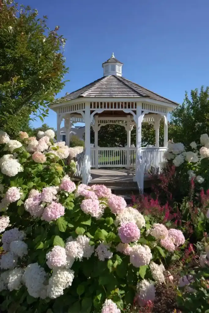 Hydrangeas Around a Gazebo
