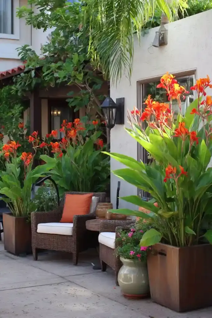 Patio Highlights