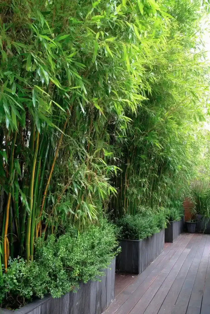 Incorporate Natural Privacy