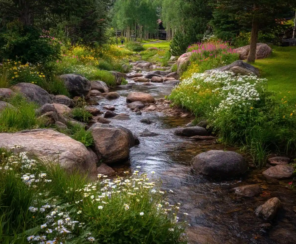 dry creek bed