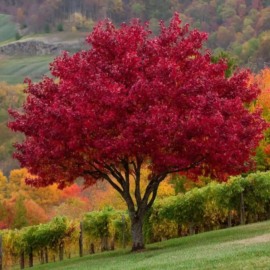 Utilize a Sloping Landscape