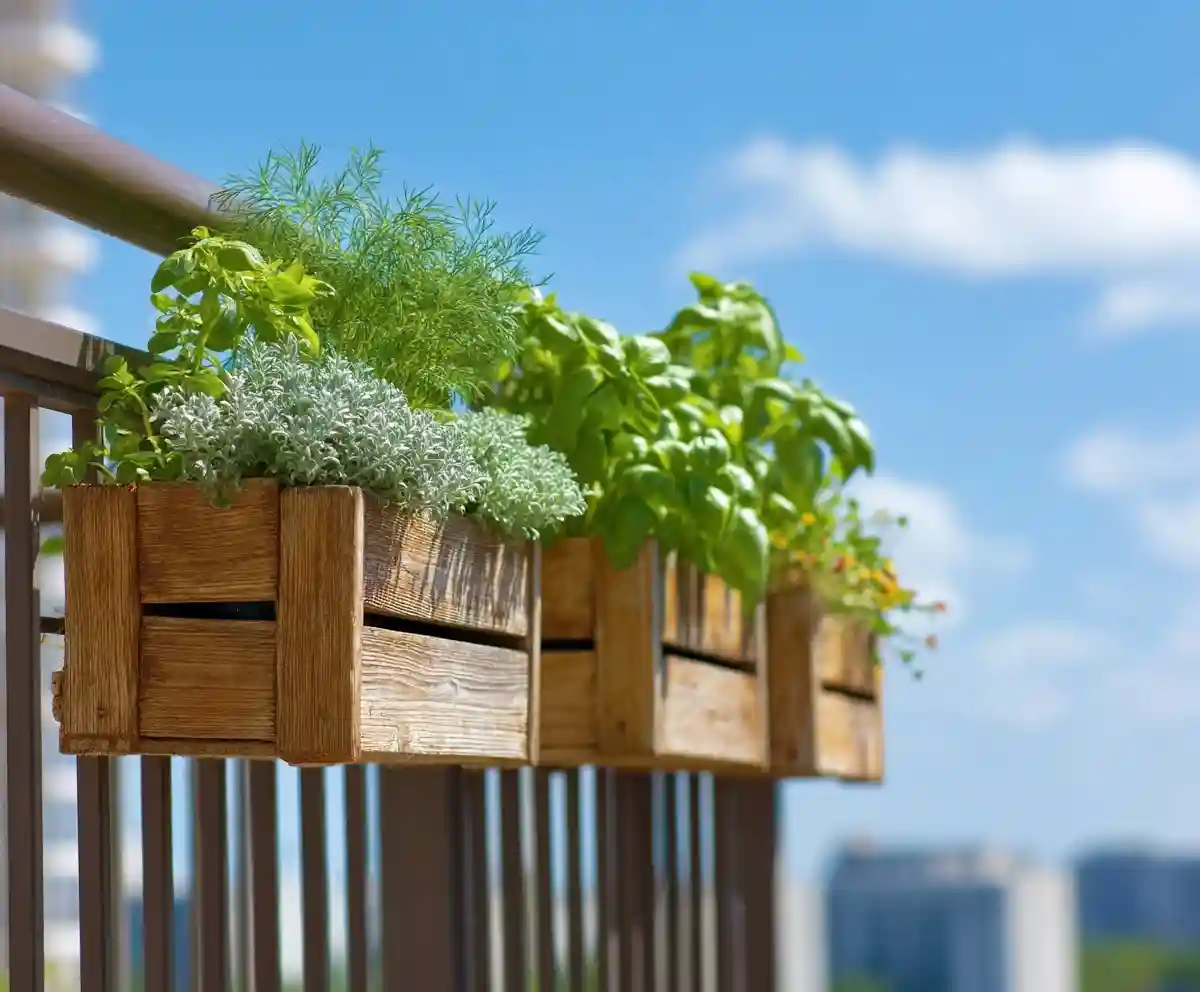 21 Balcony Herb Garden Ideas for Small Spaces
