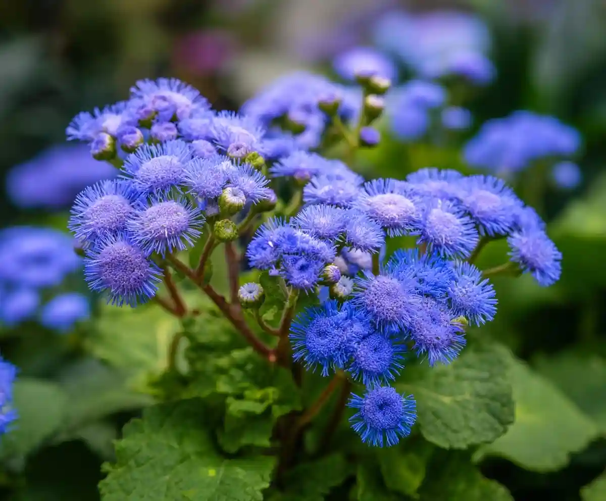 12 Best Mosquito Repellent Plants for a Bug-Free Garden