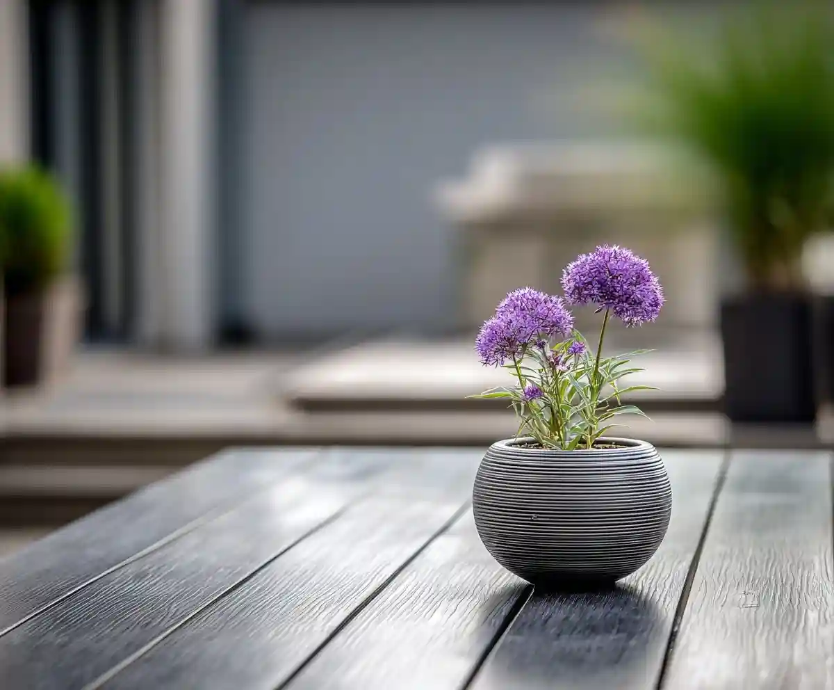 planter ideas