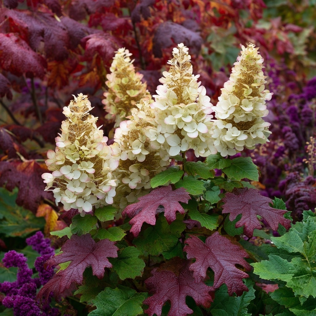 6 Types of Hydrangeas to Beautify Your Garden 8 . Oakleaf Hydrangeas