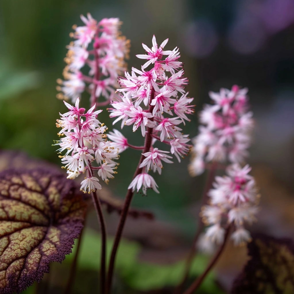 10 Best Shade Plants for a Lush Garden 8 Tiarella (Foamflower)
