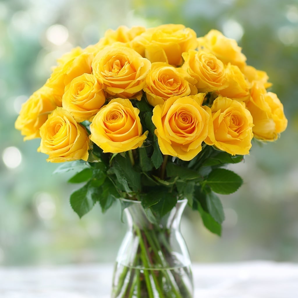 6 Beautiful Roses to Gift Your Love on Rose Day 4 Yellow Roses