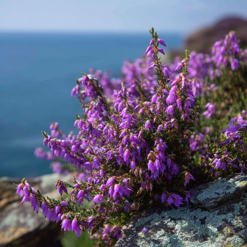 10 Beautiful Plants with Purple Flowers for Every Garden 12 10 Beautiful Plants with Purple Flowers for Every Garden