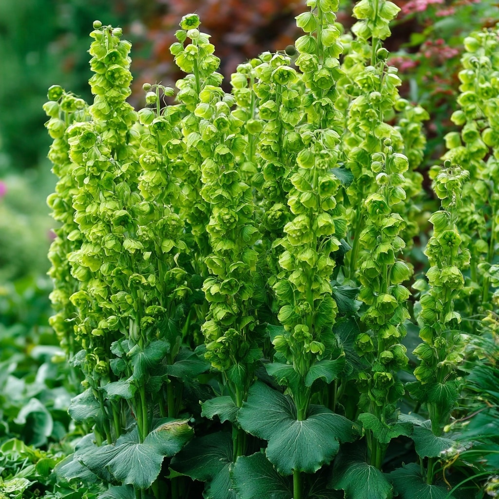 Green Flowers for Your Garden 8 Green Flowers for Your Garden