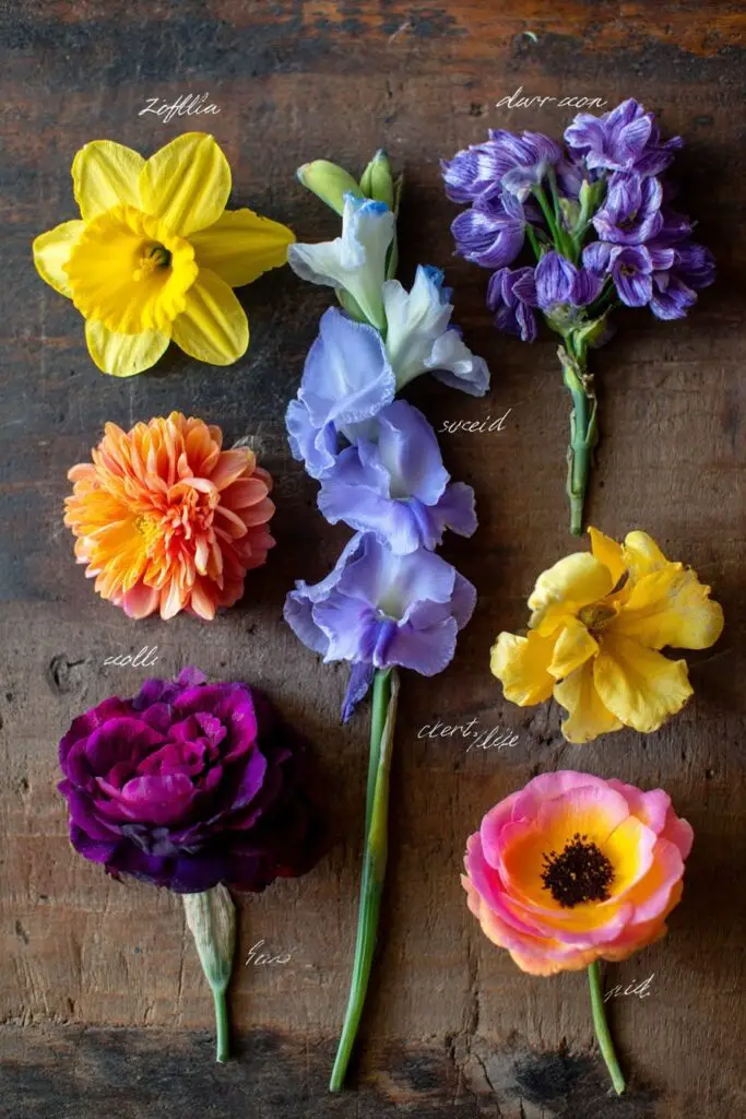 How to Create a Cut Flower Garden That Blooms All Season 8 How to Create a Cut Flower Garden That Blooms All Season