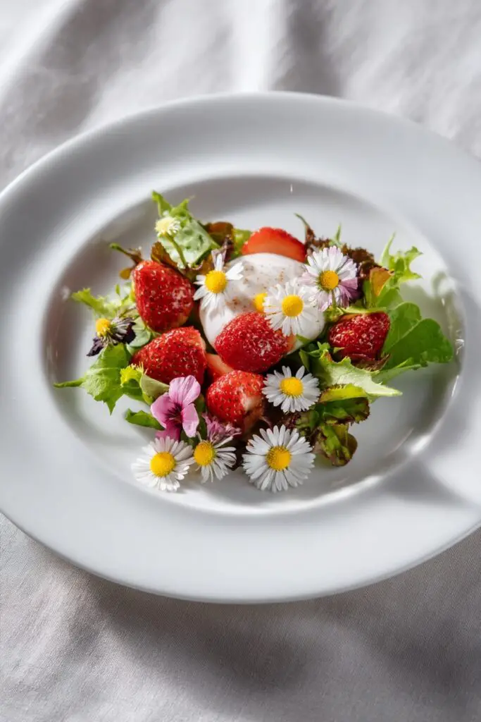 Daisy Flower Meaning & Types | Symbolism, Care & More 8 Daisy Flower Meaning & Types | Symbolism, Care & More