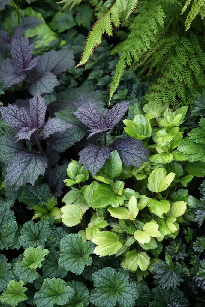 Landscape Design for Beginners: Simple Tips That Work 16 Landscape Design for Beginners: Simple Tips That Work