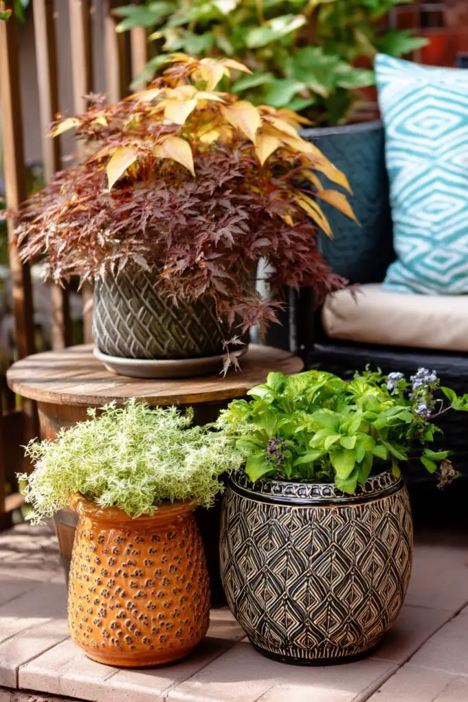 Container Gardening Ideas for Any Space 5 Container Gardening Ideas for Any Space