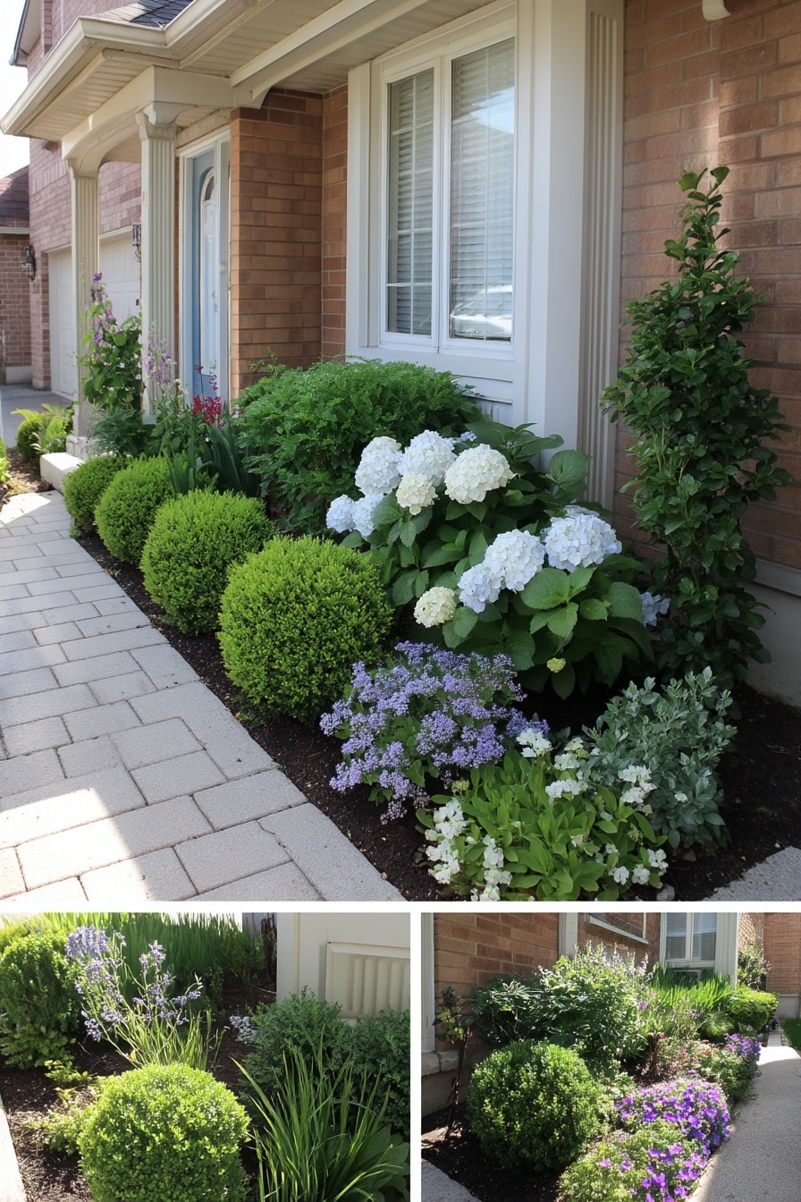 Small Garden Ideas, Plants & Design for Limited Spaces