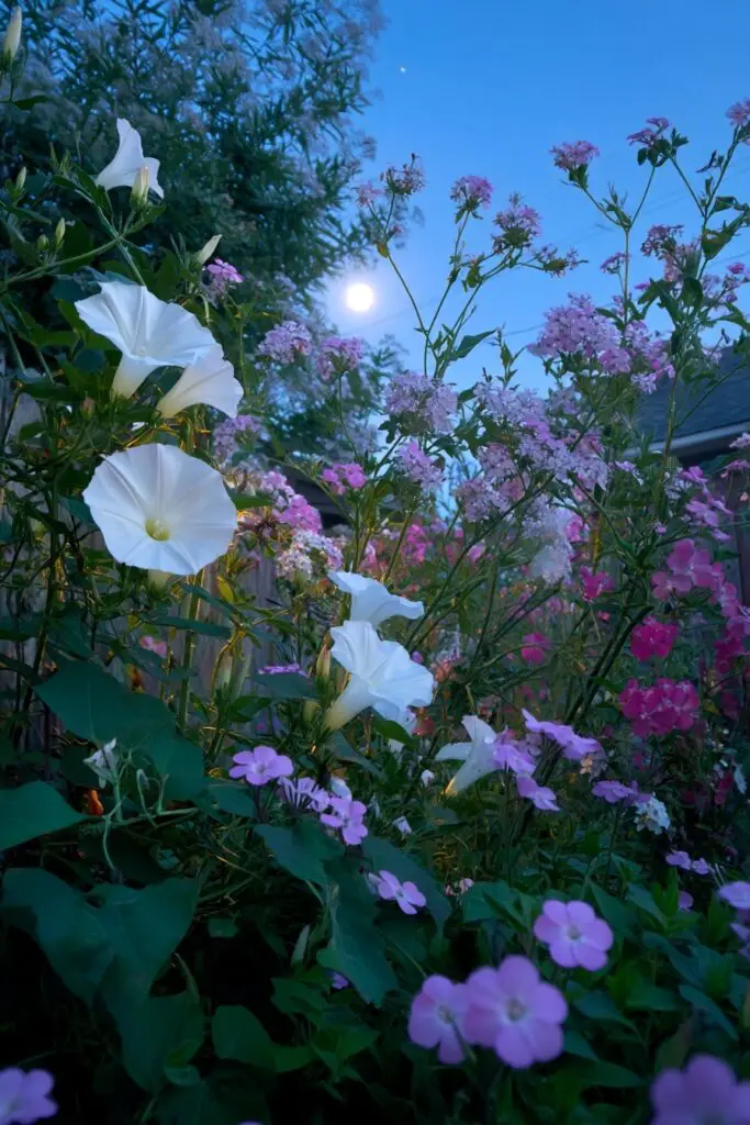 5 Backyard Flower Garden Ideas That Instantly Elevate Your Space 2 5 Backyard Flower Garden Ideas That Instantly Elevate Your Space