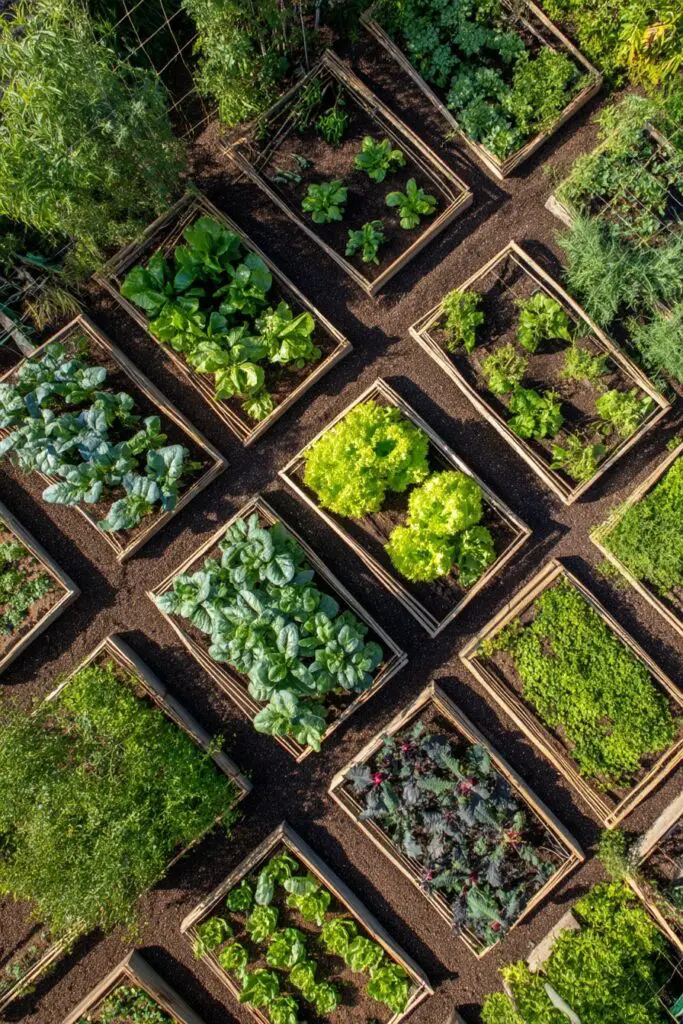 Square Foot Gardening: The Method Built for Efficiency 2 Square Foot Gardening: The Method Built for Efficiency