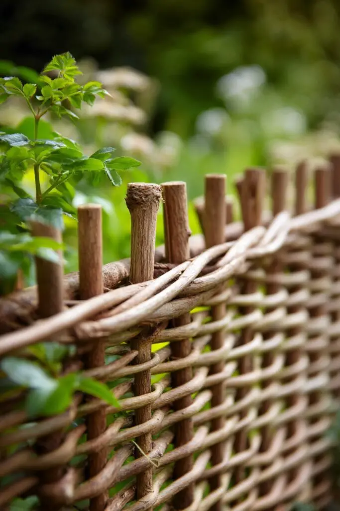 11 Cheap Fence Ideas for Privacy & Style 6 11 Cheap Fence Ideas for Privacy & Style